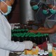 Paxherbal herbs packaging