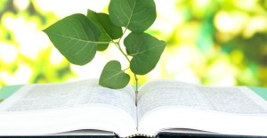 TOWARDS INTEGRAL LIVING IN EWU MONASTERY: Communis, Spiritus, Scientia and Economia